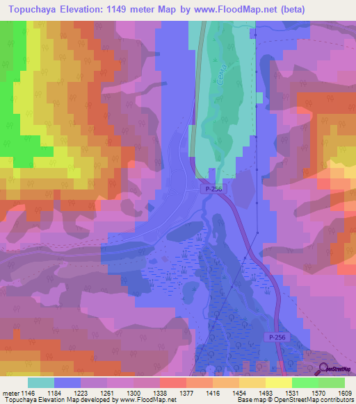 Topuchaya,Russia Elevation Map