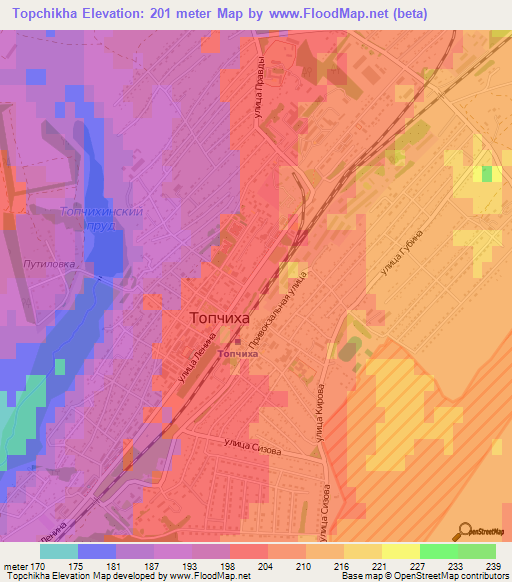 Topchikha,Russia Elevation Map