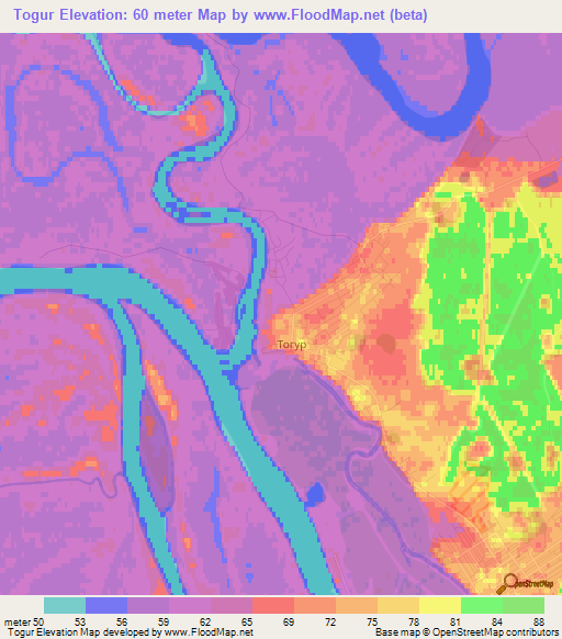 Togur,Russia Elevation Map