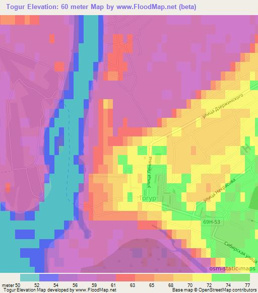 Togur,Russia Elevation Map