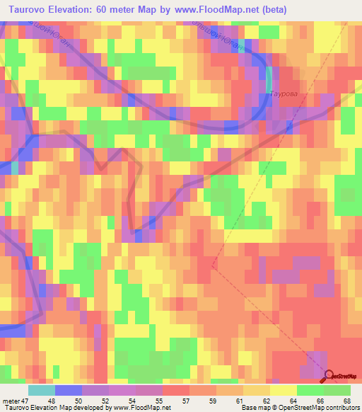 Taurovo,Russia Elevation Map