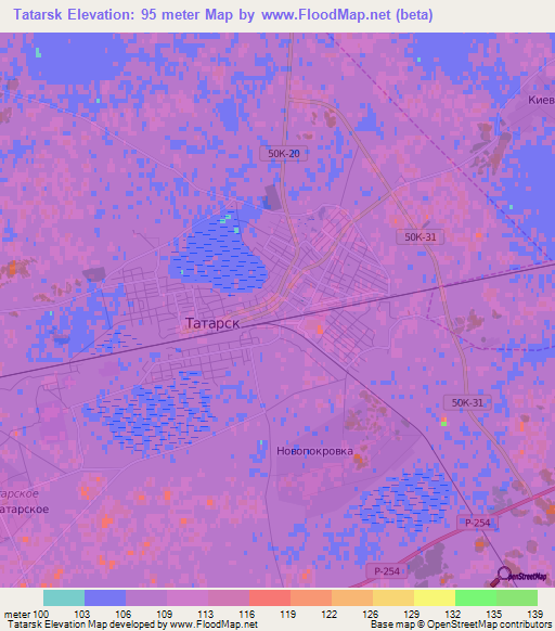 Tatarsk,Russia Elevation Map