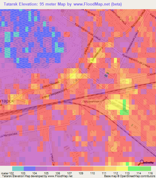 Tatarsk,Russia Elevation Map