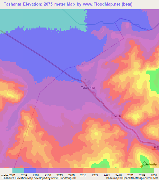 Tashanta,Russia Elevation Map