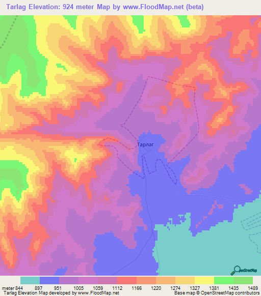 Tarlag,Russia Elevation Map