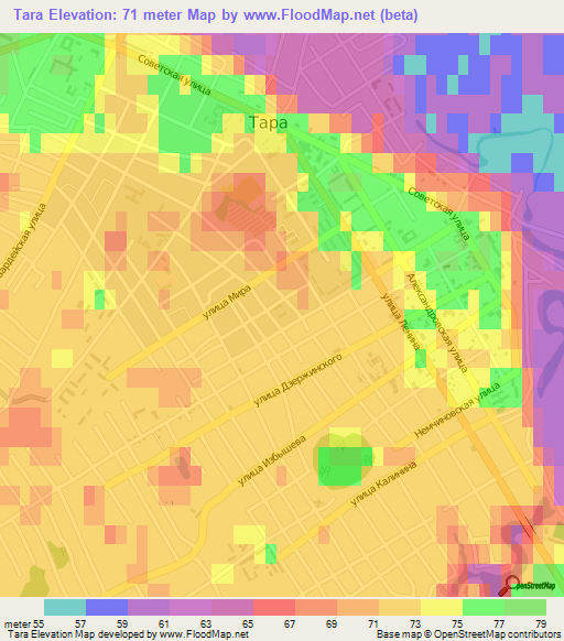 Tara,Russia Elevation Map