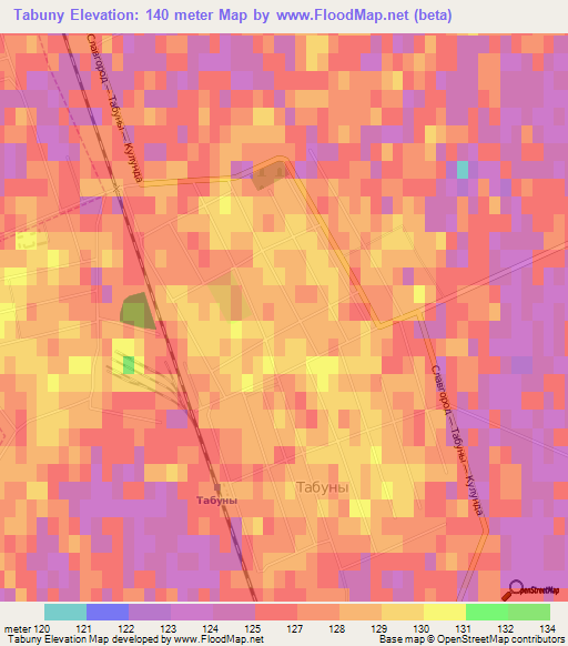 Tabuny,Russia Elevation Map