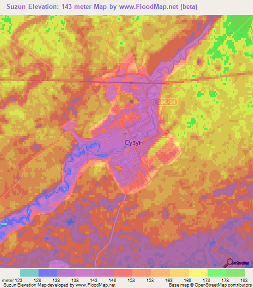 Suzun,Russia Elevation Map