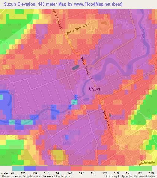 Suzun,Russia Elevation Map