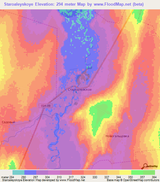 Staroaleyskoye,Russia Elevation Map