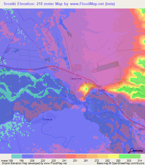 Srostki,Russia Elevation Map