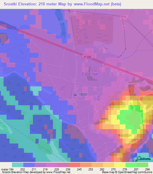 Srostki,Russia Elevation Map