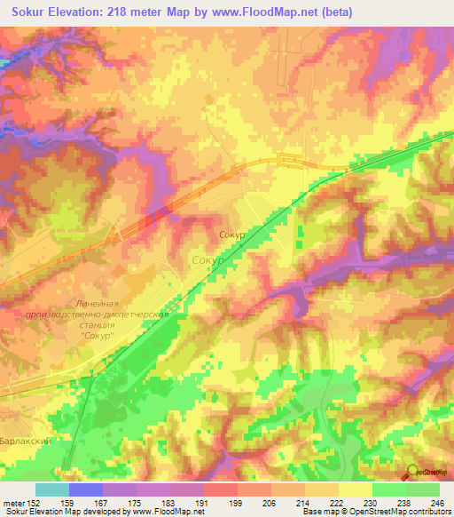 Sokur,Russia Elevation Map