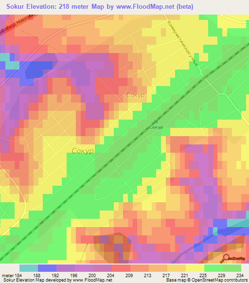 Sokur,Russia Elevation Map