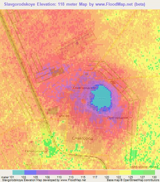 Slavgorodskoye,Russia Elevation Map