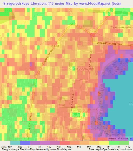 Slavgorodskoye,Russia Elevation Map