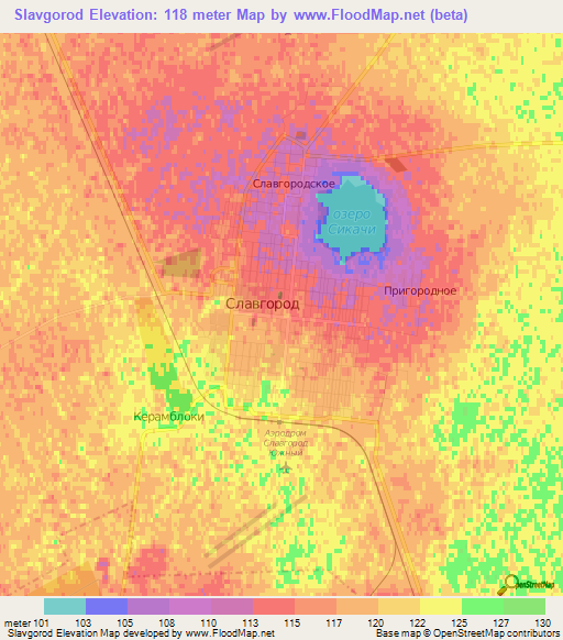 Slavgorod,Russia Elevation Map