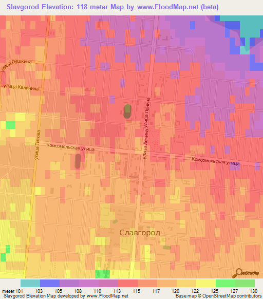 Slavgorod,Russia Elevation Map