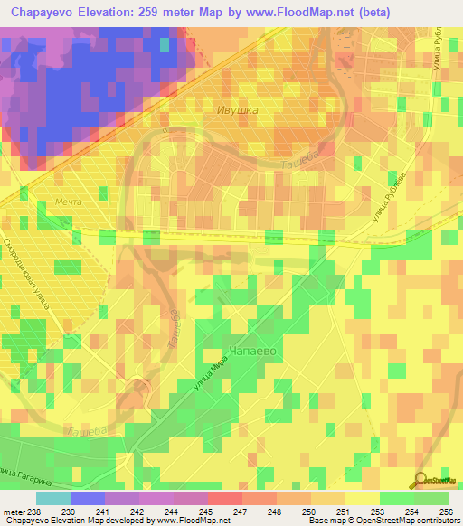 Chapayevo,Russia Elevation Map