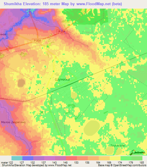 Shumikha,Russia Elevation Map