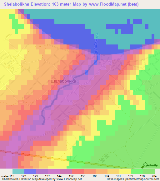 Shelabolikha,Russia Elevation Map