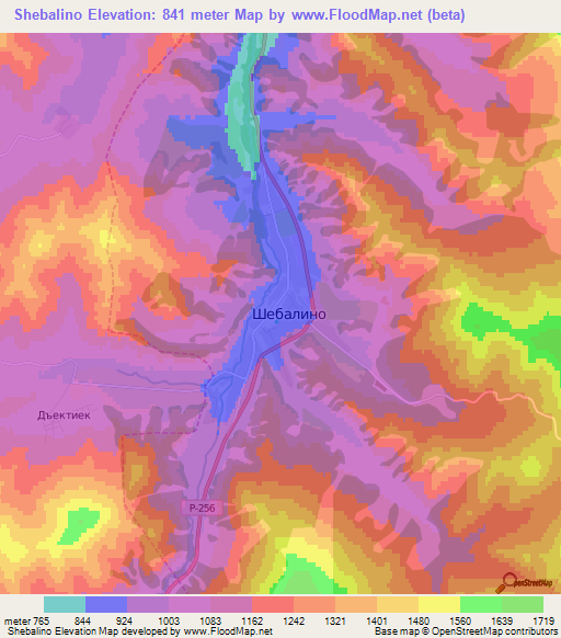 Shebalino,Russia Elevation Map