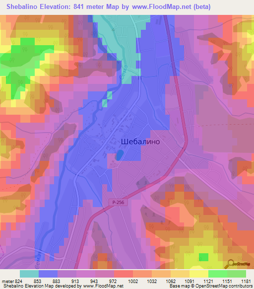 Shebalino,Russia Elevation Map