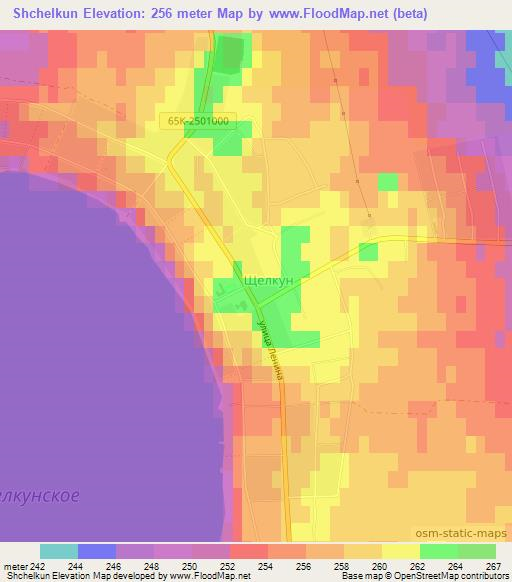 Shchelkun,Russia Elevation Map