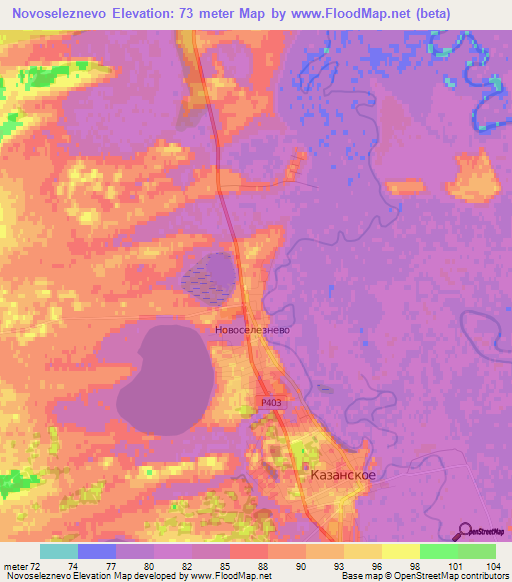 Novoseleznevo,Russia Elevation Map