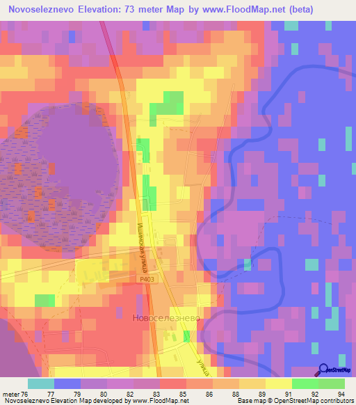 Novoseleznevo,Russia Elevation Map