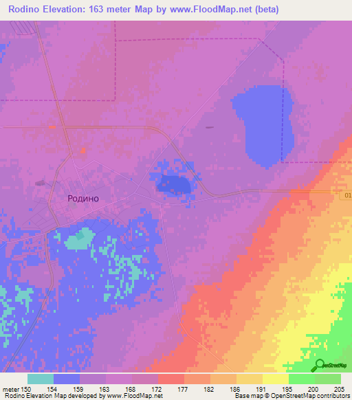 Rodino,Russia Elevation Map