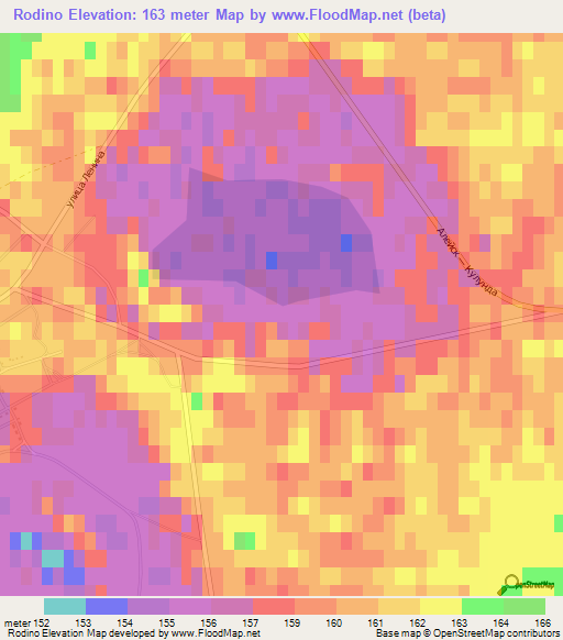 Rodino,Russia Elevation Map