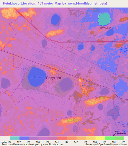 Petukhovo,Russia Elevation Map