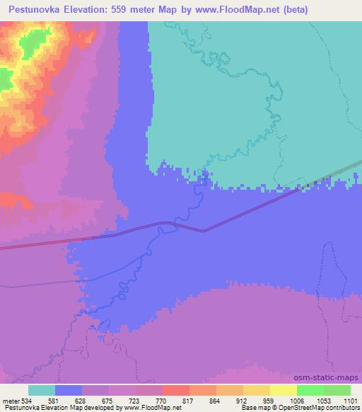 Pestunovka,Russia Elevation Map