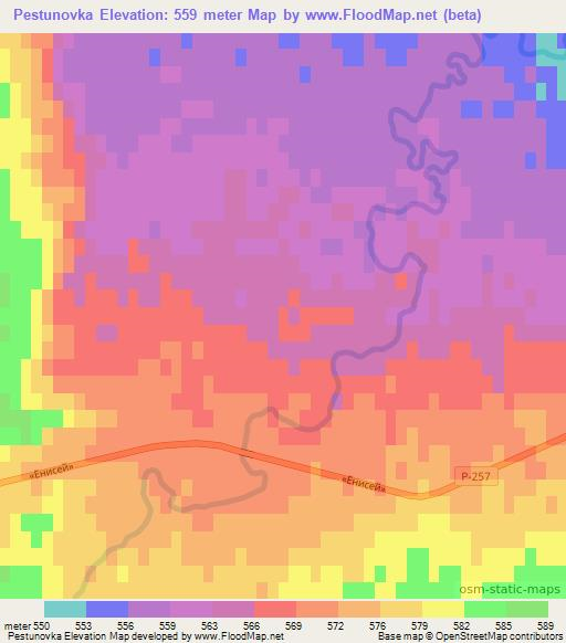 Pestunovka,Russia Elevation Map