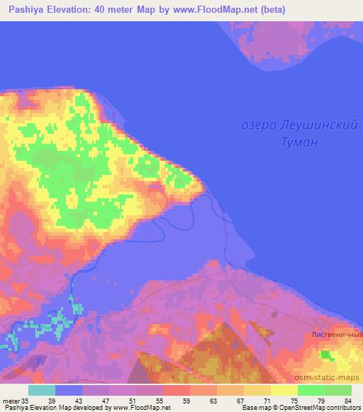 Pashiya,Russia Elevation Map