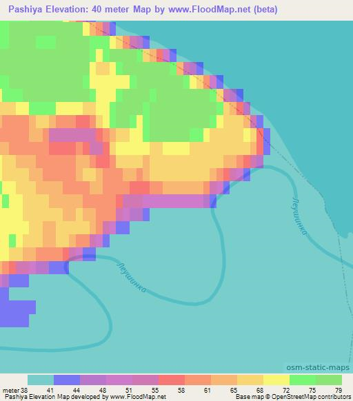 Pashiya,Russia Elevation Map