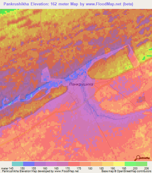 Pankrushikha,Russia Elevation Map