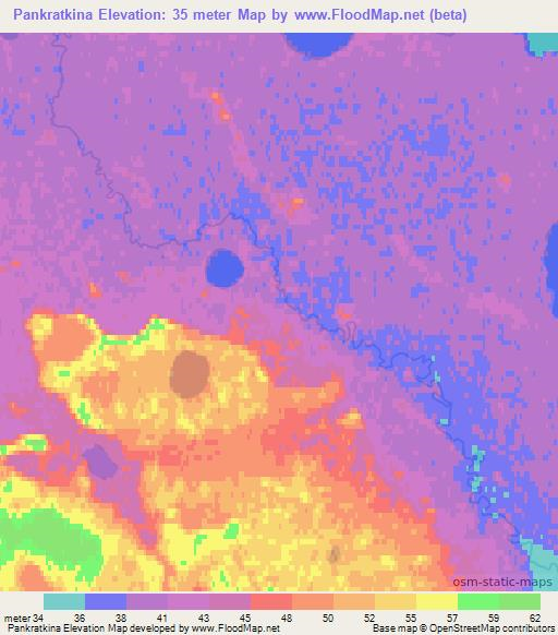 Pankratkina,Russia Elevation Map