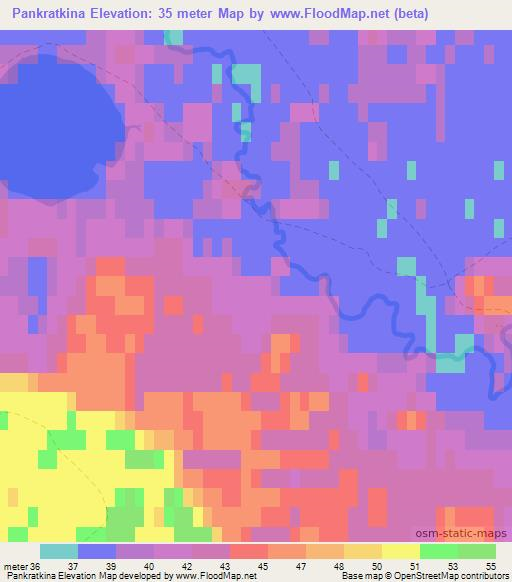 Pankratkina,Russia Elevation Map