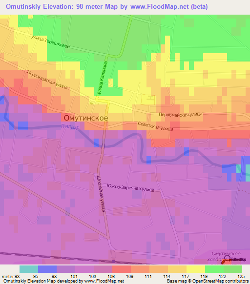 Omutinskiy,Russia Elevation Map