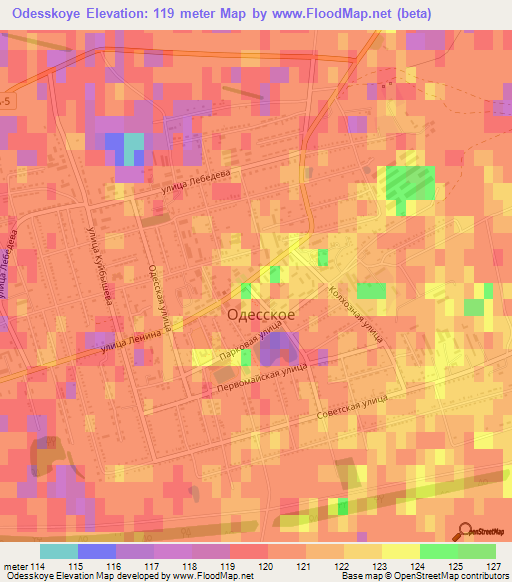 Odesskoye,Russia Elevation Map