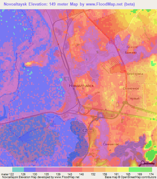 Novoaltaysk,Russia Elevation Map