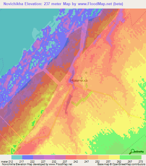 Novichikha,Russia Elevation Map