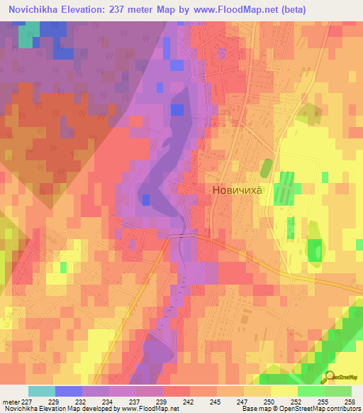 Novichikha,Russia Elevation Map