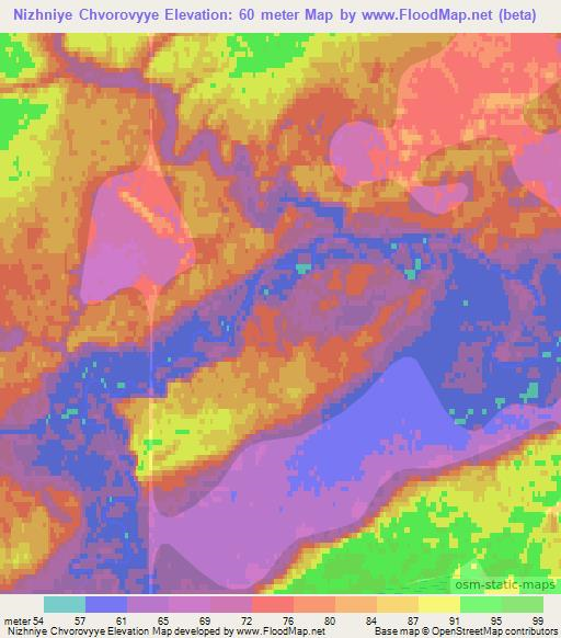 Nizhniye Chvorovyye,Russia Elevation Map