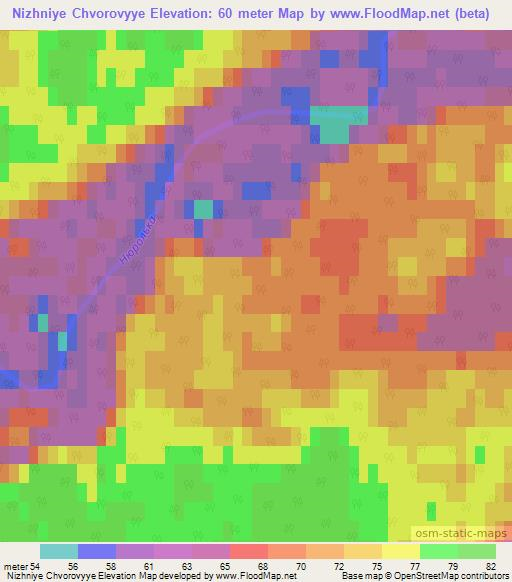 Nizhniye Chvorovyye,Russia Elevation Map