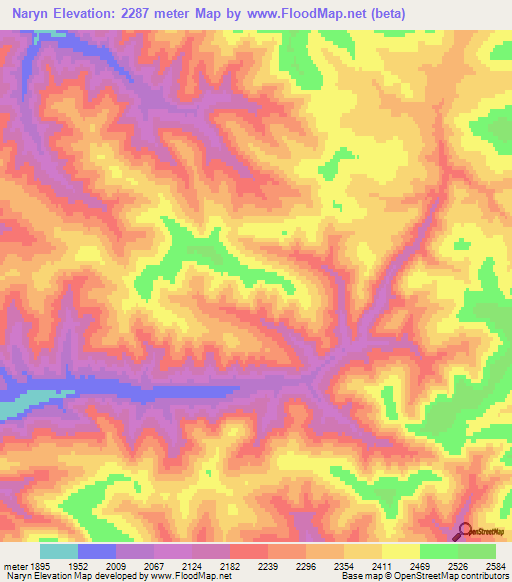 Naryn,Russia Elevation Map