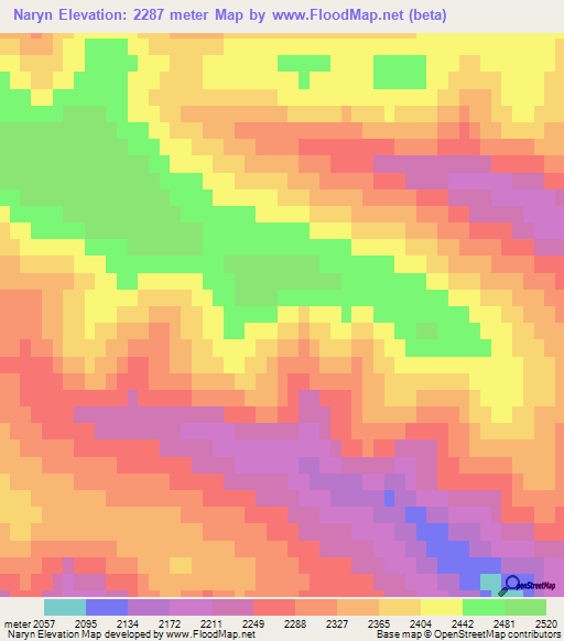 Naryn,Russia Elevation Map