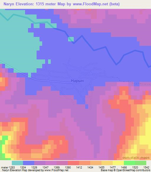 Naryn,Russia Elevation Map